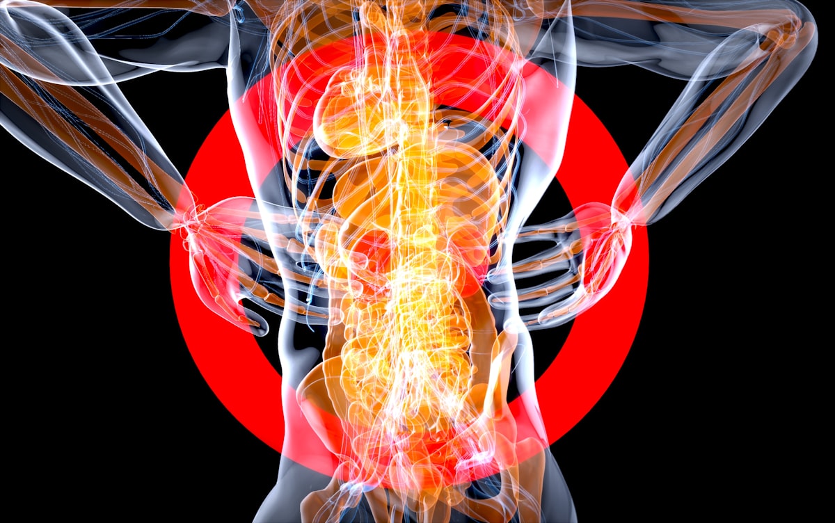 La storia di Nutritionalflexibility